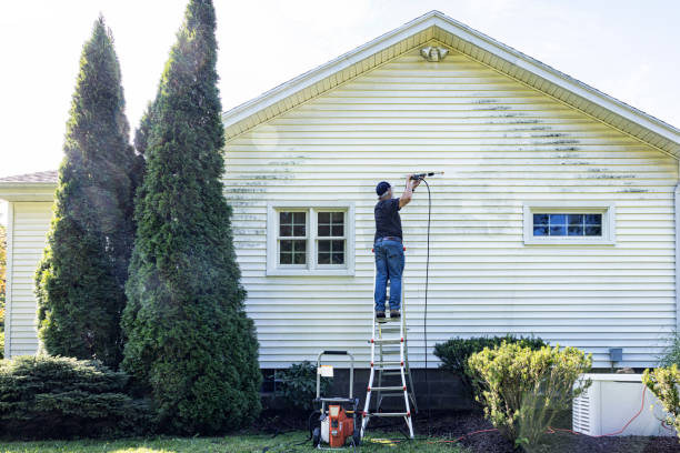 Best Fence Pressure Washing  in Elberta, AL